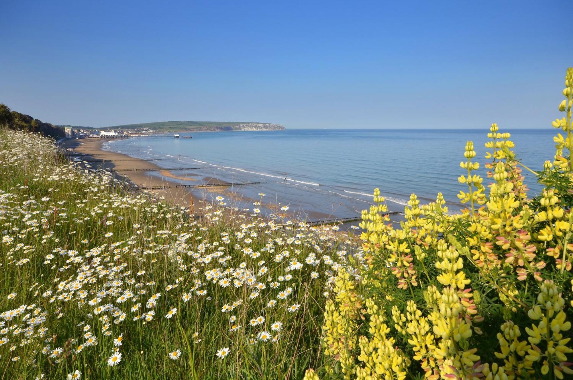 The Haven - Isle Of Wight Villa Sandown Exteriör bild